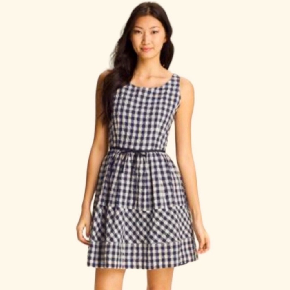 Taylor Anthropologie Navy Gingham Sleeveless Dress size 14 EUC